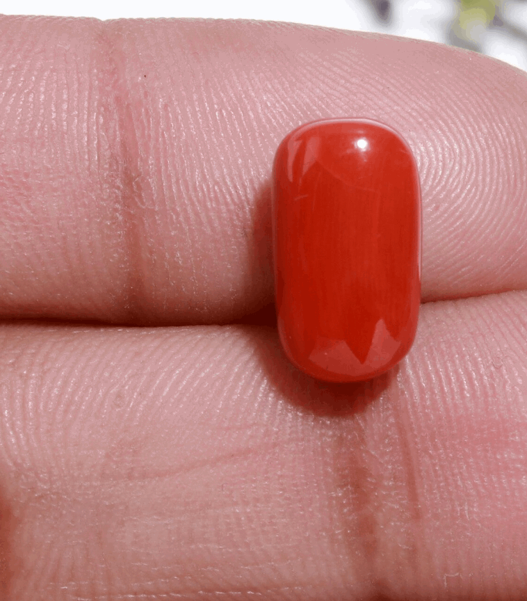 6.25 Ratti Red Coral Price