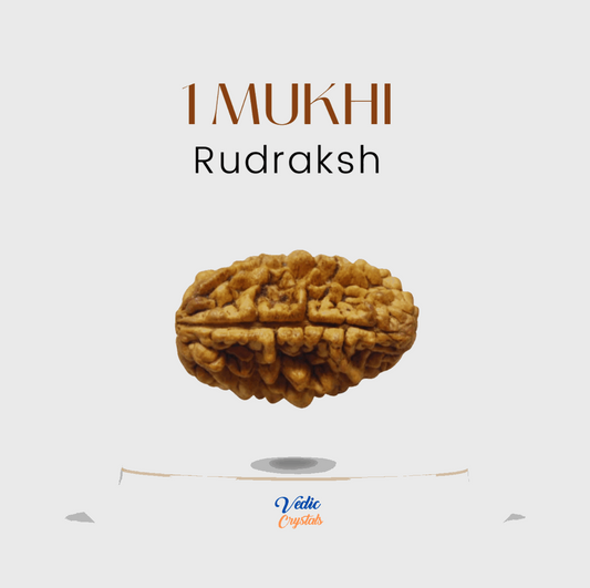 Benefits of 1 Mukhi Rudraksha