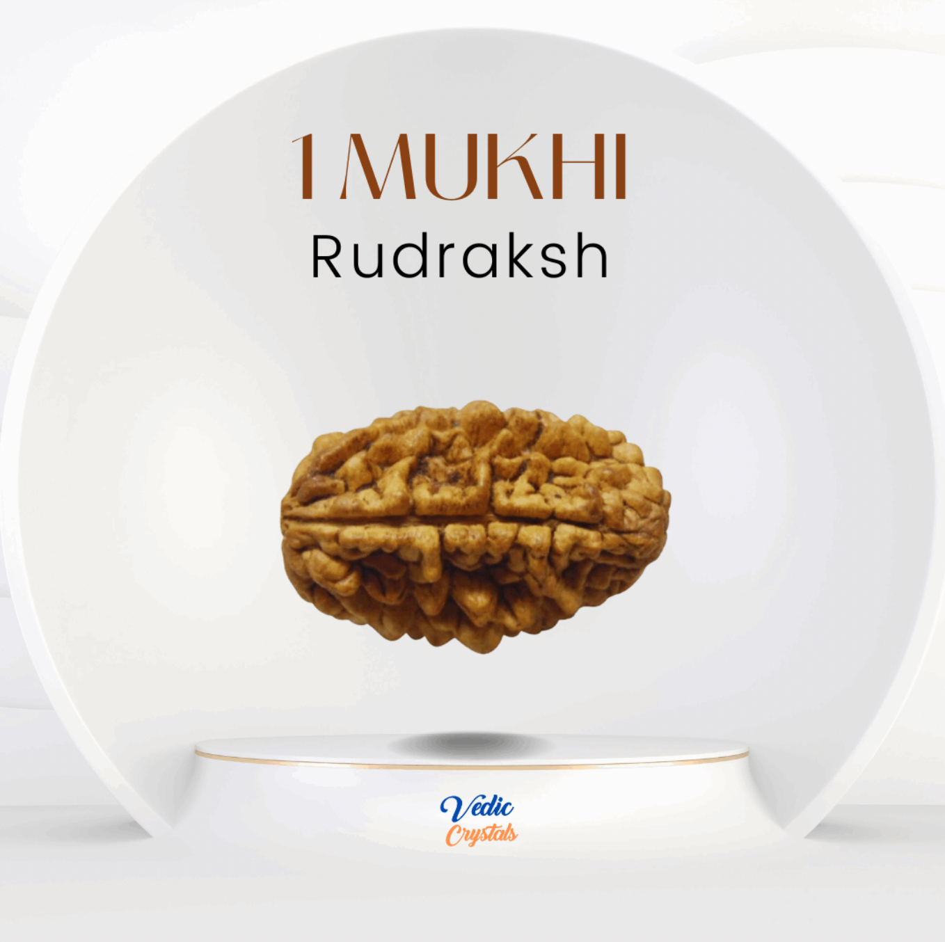 1 Mukhi Rudraksha | Ek Mukhi Rudraksha | Vedic Crystals