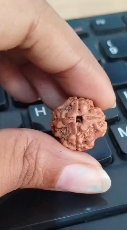 4 mukhi
