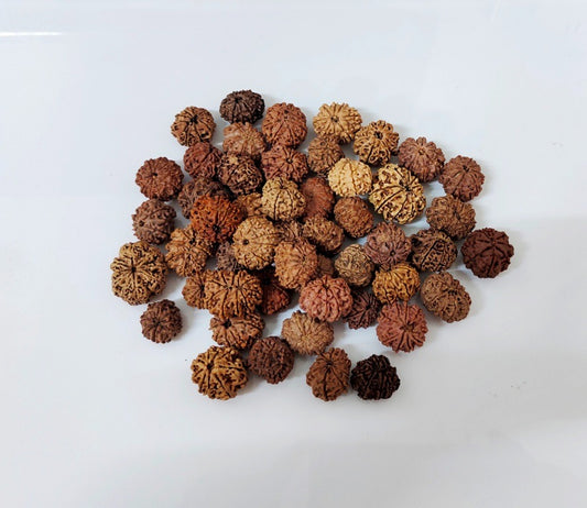 Can Ladies Wear Rudraksha During Periods?