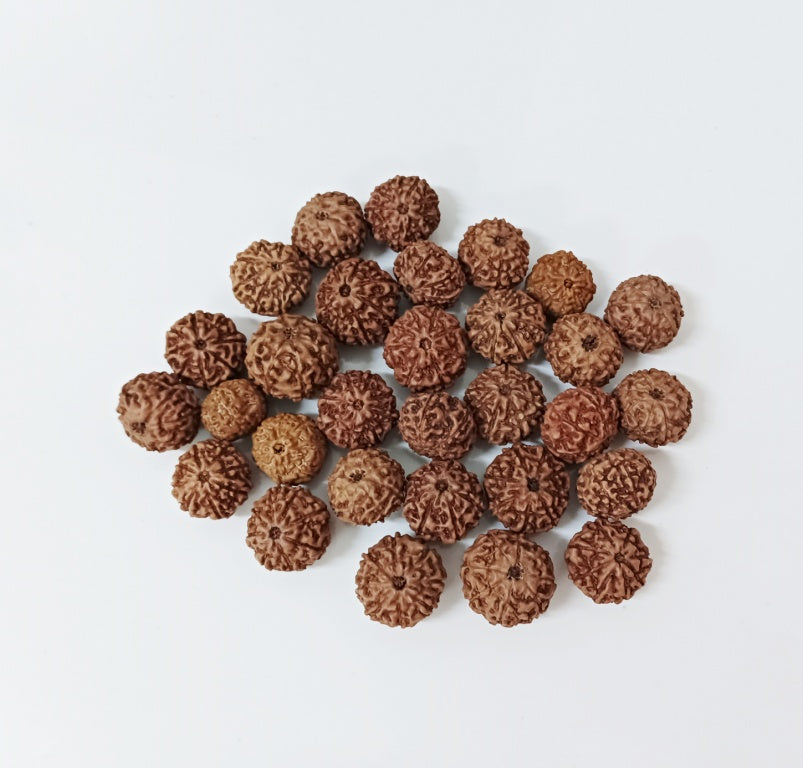 Can We Wear Rudraksha While Going to the Toilet?