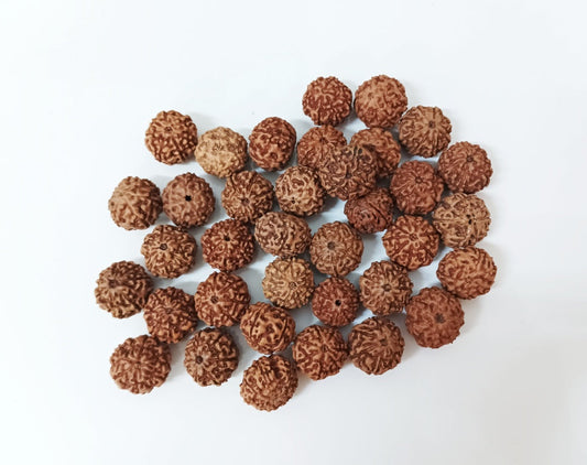 Can We Wear Rudraksha in a Gold Chain?