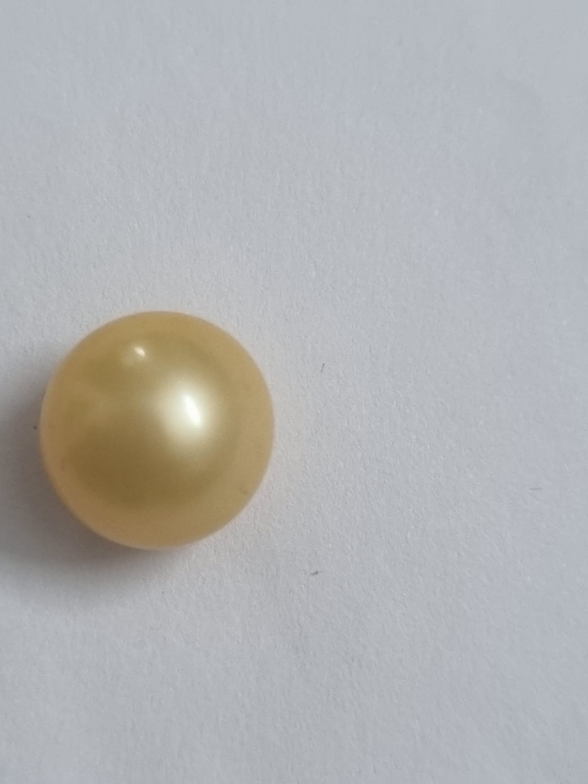 Golden pearl 
