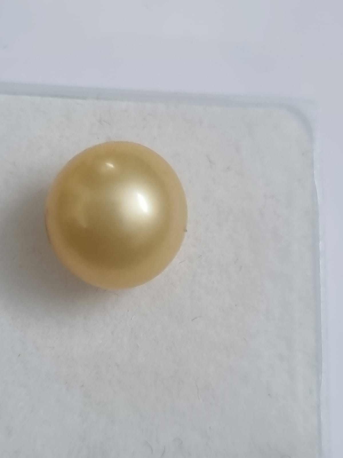 Golden Pearl