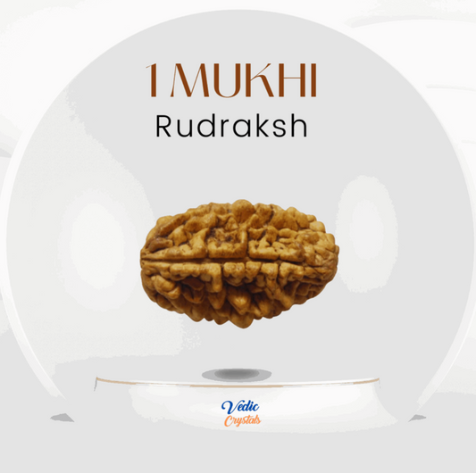 Rudraksha Beads