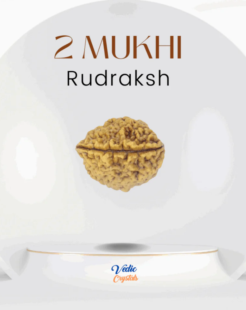 Do Mukhi Rudraksha