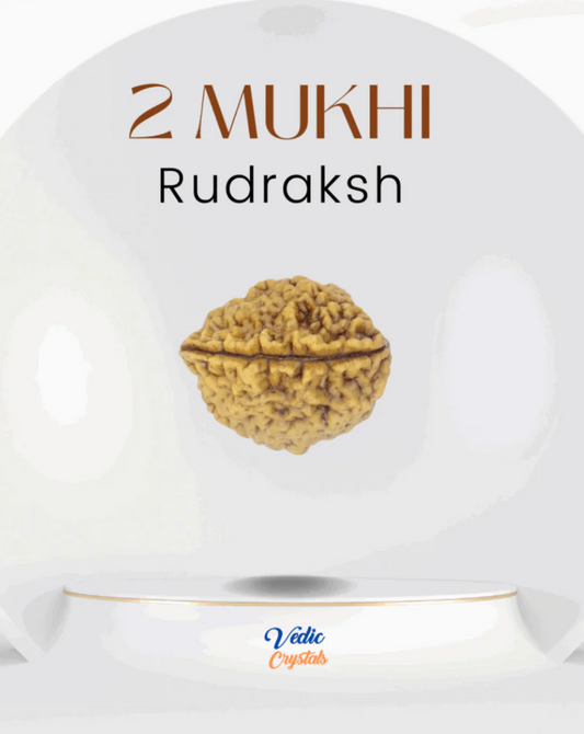 Rudraksha beads