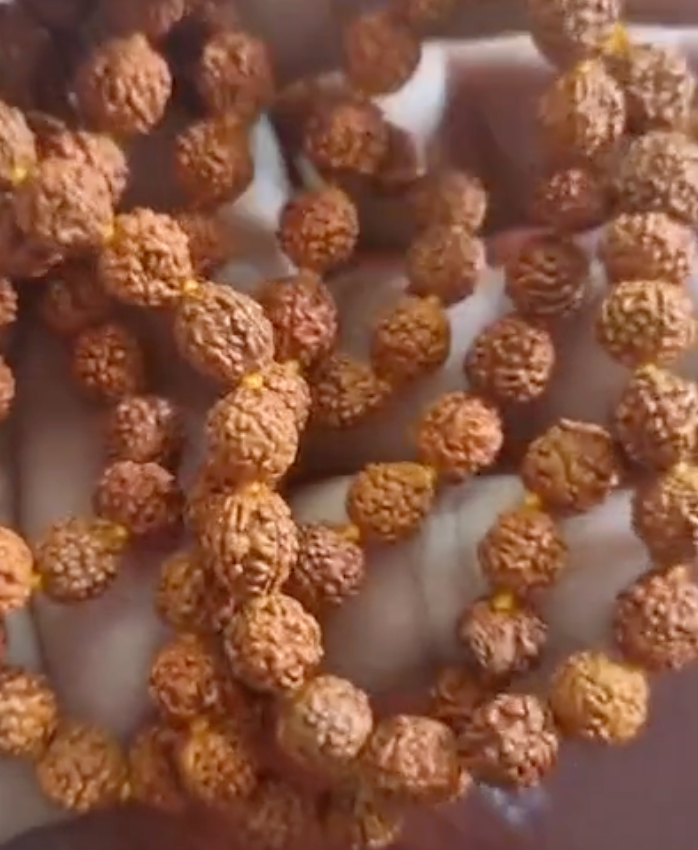 Rudraksha Mala