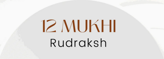 12 Mukhi Rudraksha