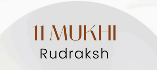 11 Mukhi Rudraksha