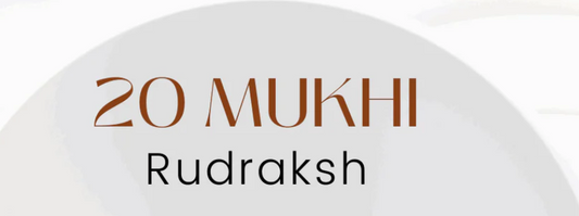 20 Mukhi Rudraksha