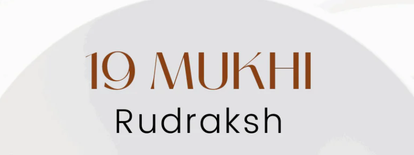 19 Mukhi Rudraksha