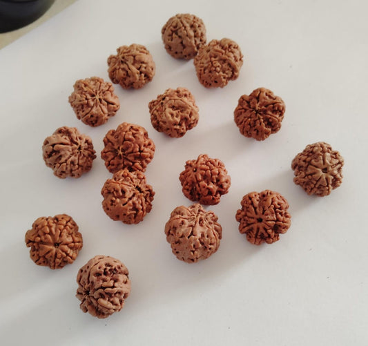 Which Rudraksha is Best for Health? 