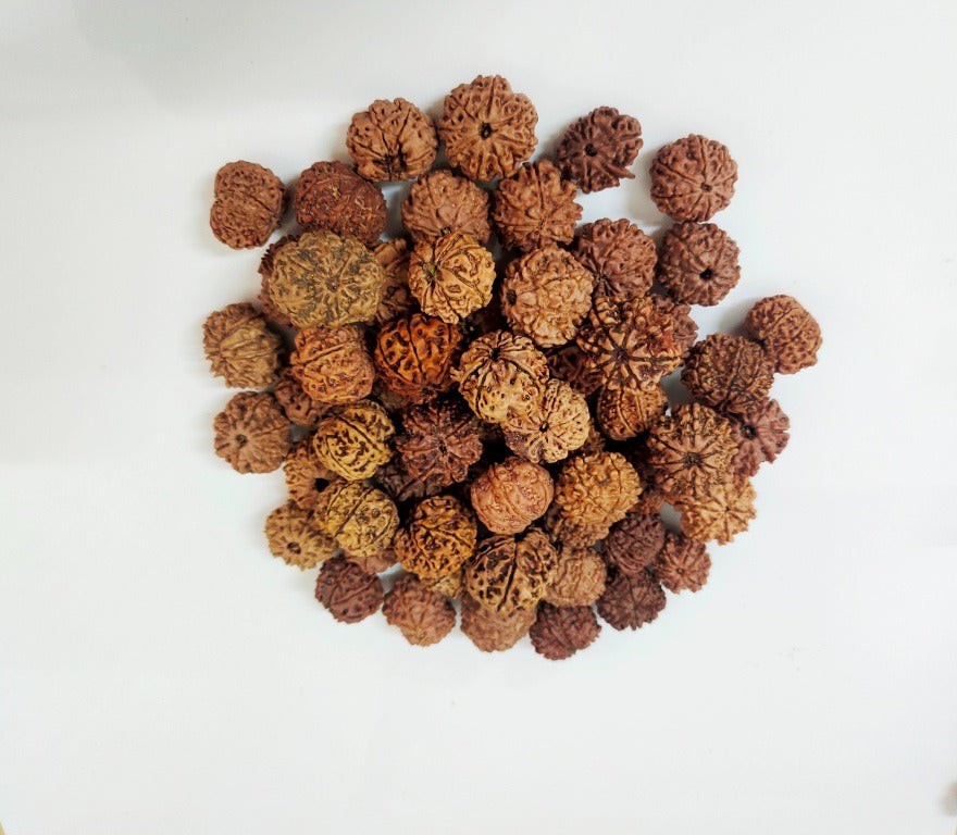 Which Rudraksha is Best for Ladies?