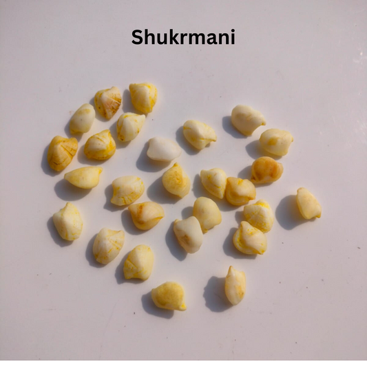 What are the Benefits of Shukra Mani Stone?