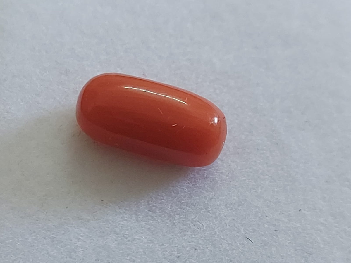 Lal Moonga Stone | Best Quality