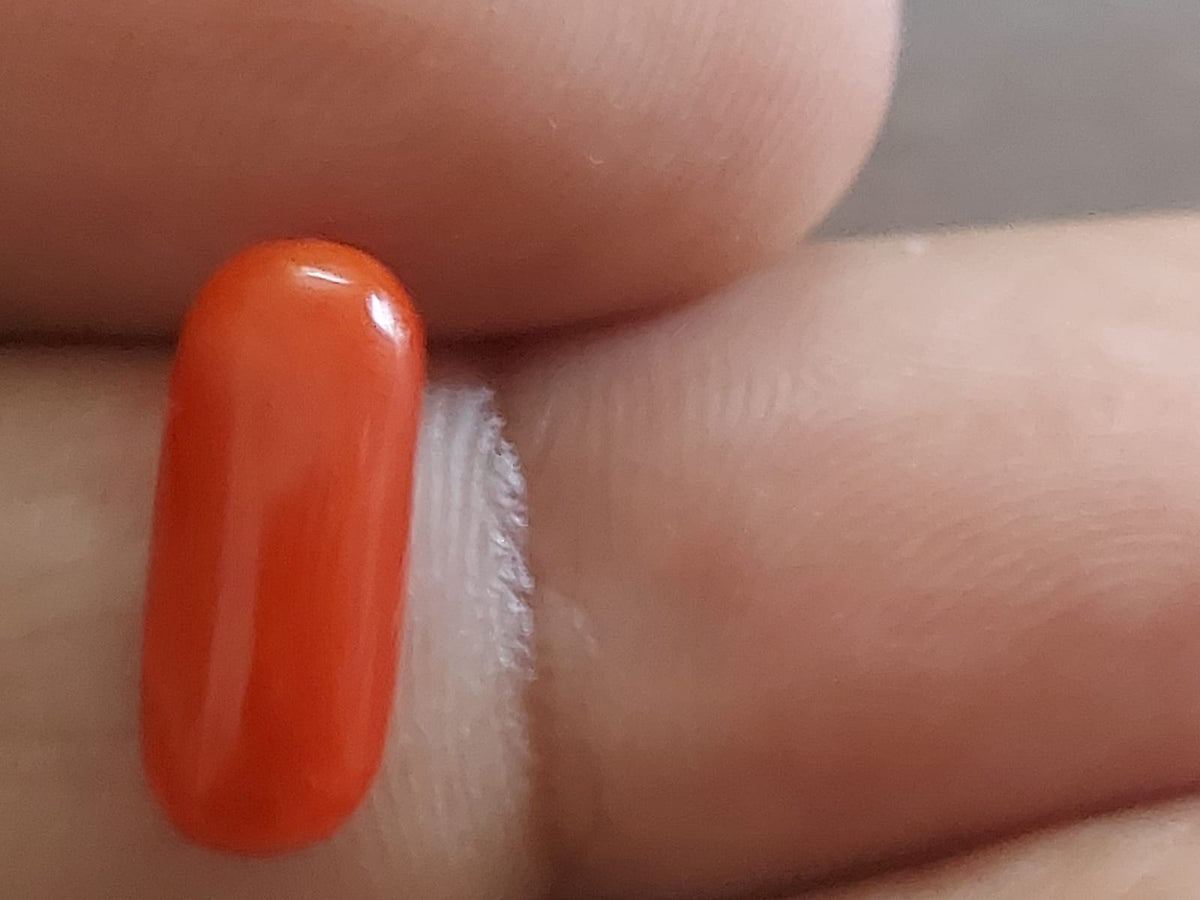 3.25 Ratti Moonga Price