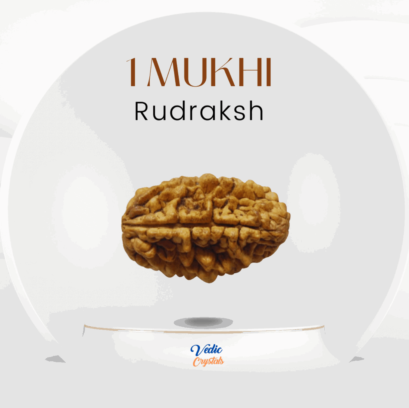 Best Price 1 Mukhi Rudraksha (Ek Mukhi) | Lord Shiva image