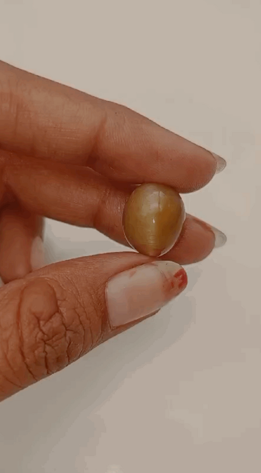 12 Carat Cat's Eye Stone | Ceylon | Sri Lanka