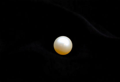 13.3 Carat Pearl | 13.3 Carat Moti 