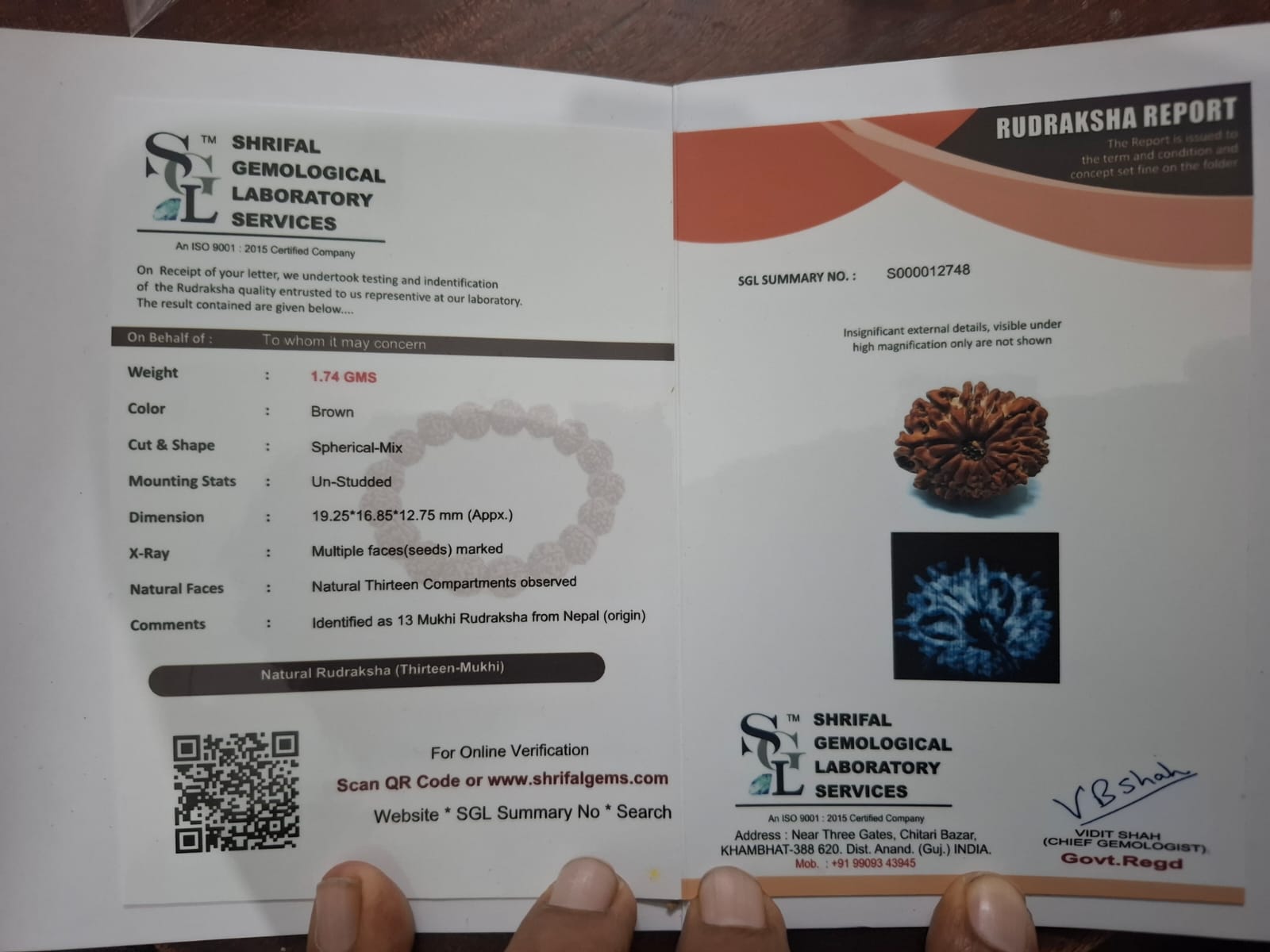 13 Mukhi Rudraksha X ray certificate