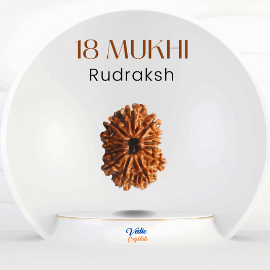 18 Mukhi Rudraksha