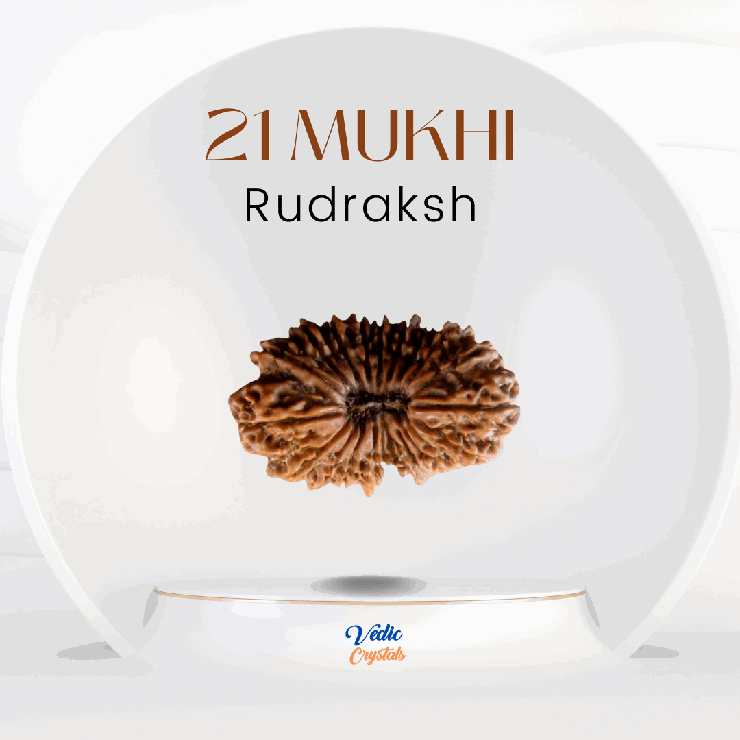 21 Mukhi Rudraksha