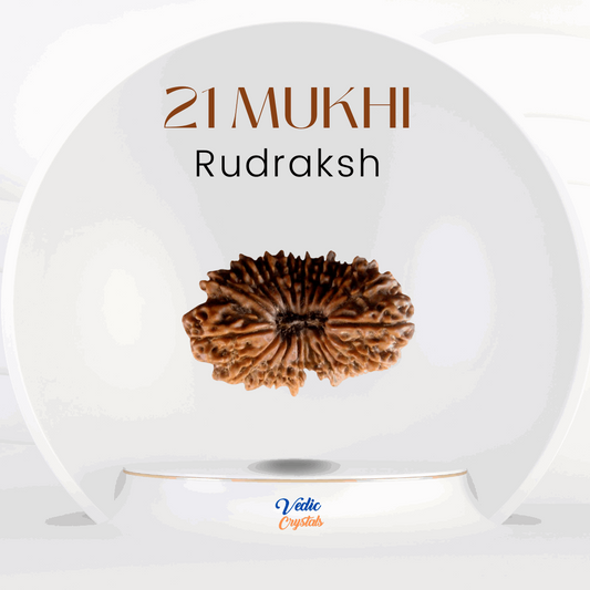 21 Mukhi Rudraksha