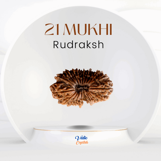 21 Mukhi Rudraksha