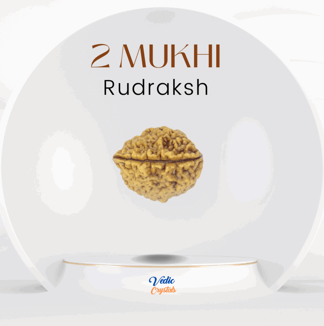 2 Mukhi Natural Rudraksha (Do Mukhi)