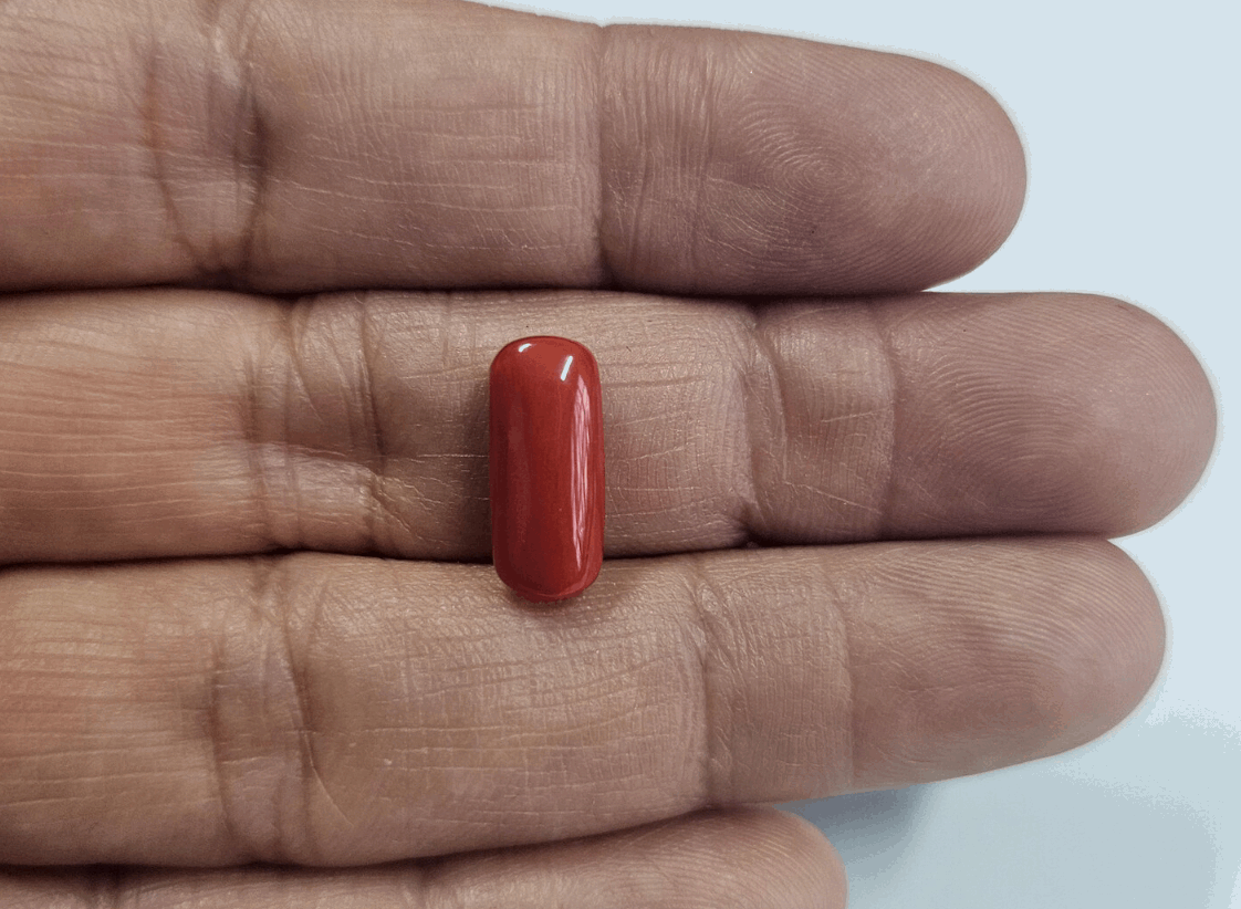 Red Probal Stone Price Mantrit (Energized) Authentic Original Red