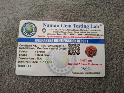 7 Mukhi Rudraksha Certificate