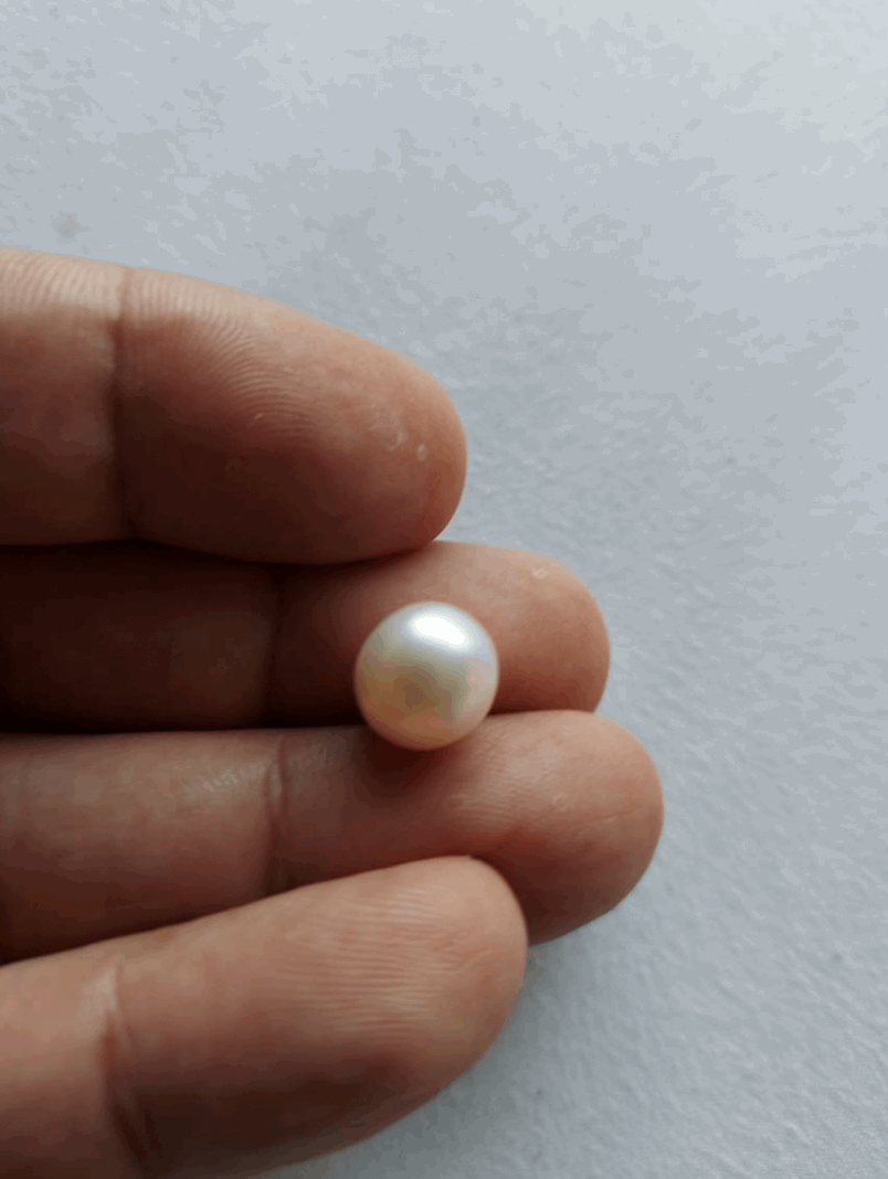 Pearl moti price clearance