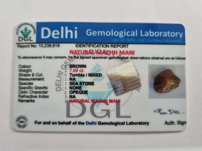 Brown Machmani Certificate | 7 carat
