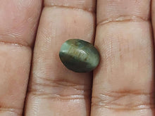 Cat's Eye Stone | Lehsunia stone | 5.5 Carat | Ceylon 
