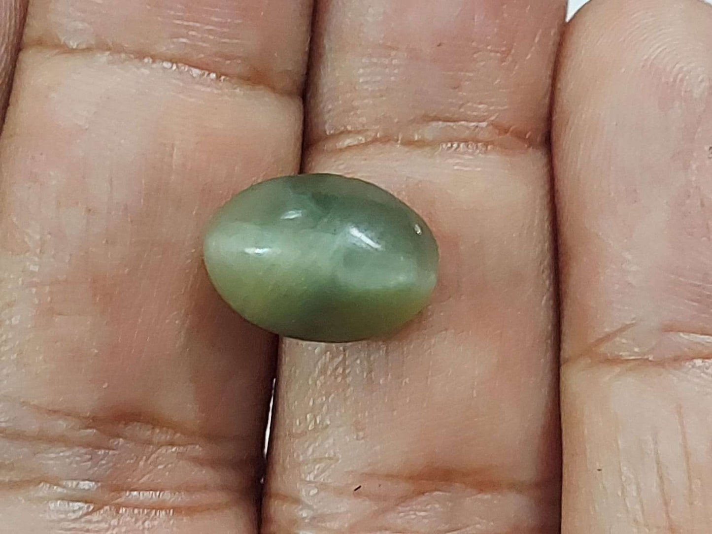 Cat's Eye Stone | Lehsunia stone | 6 Carat | Ceylon