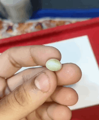 Chrysoberyl Cats Eye