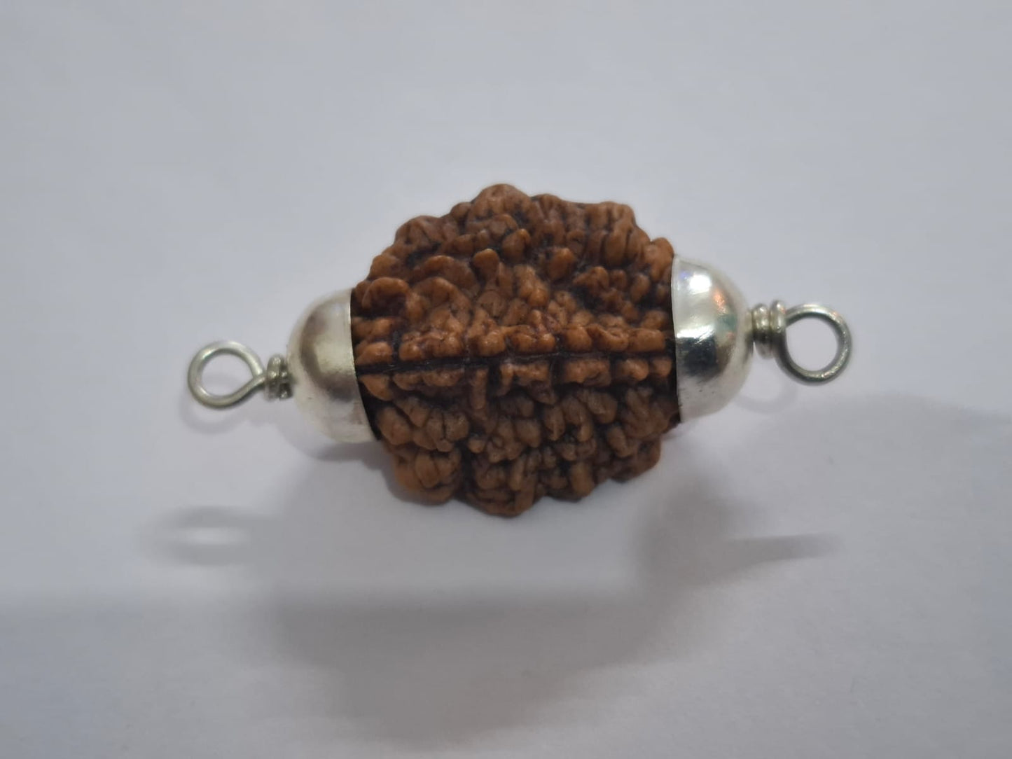 Do Mukhi Ruraksha 