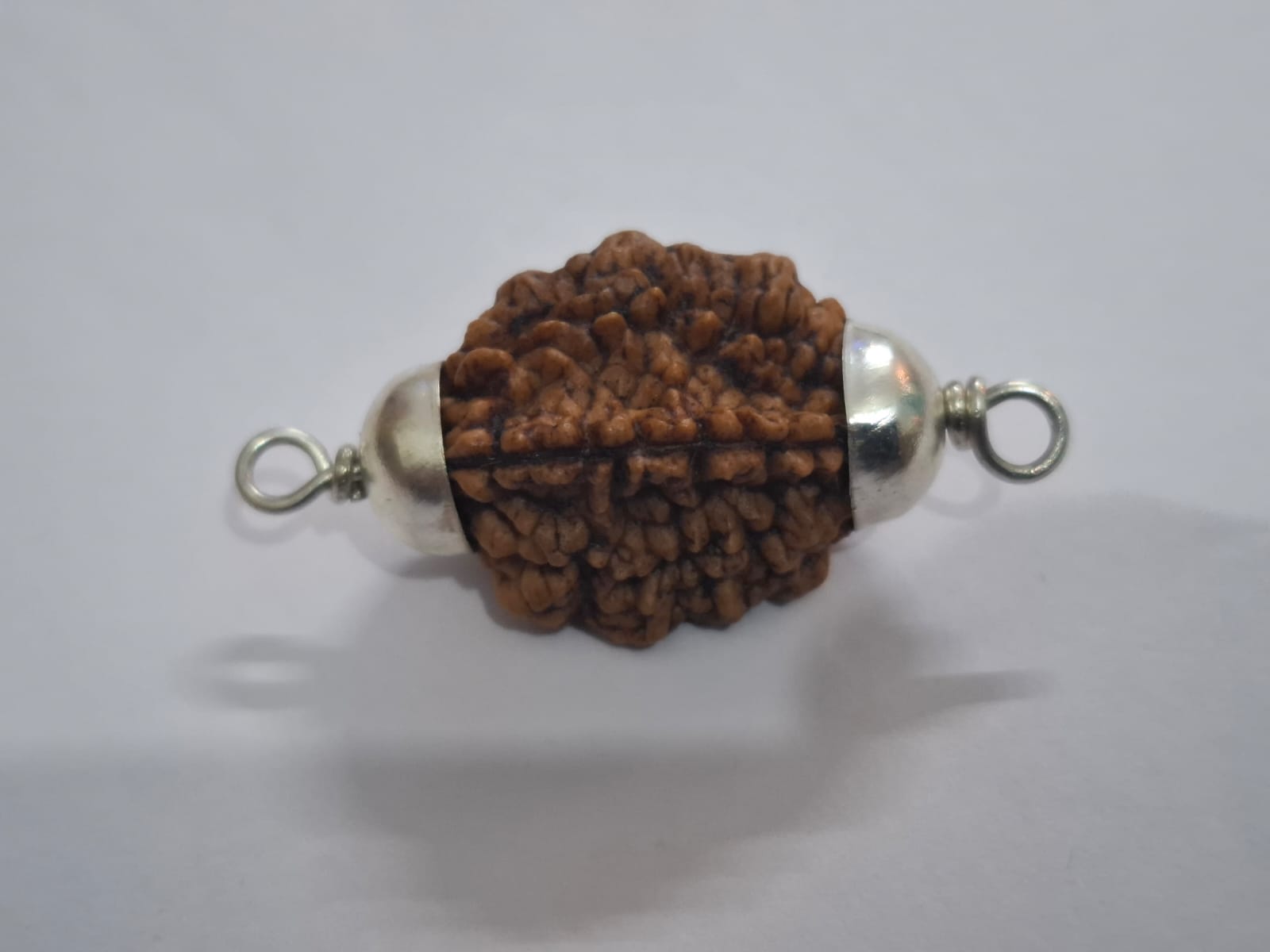Do Mukhi Ruraksha 
