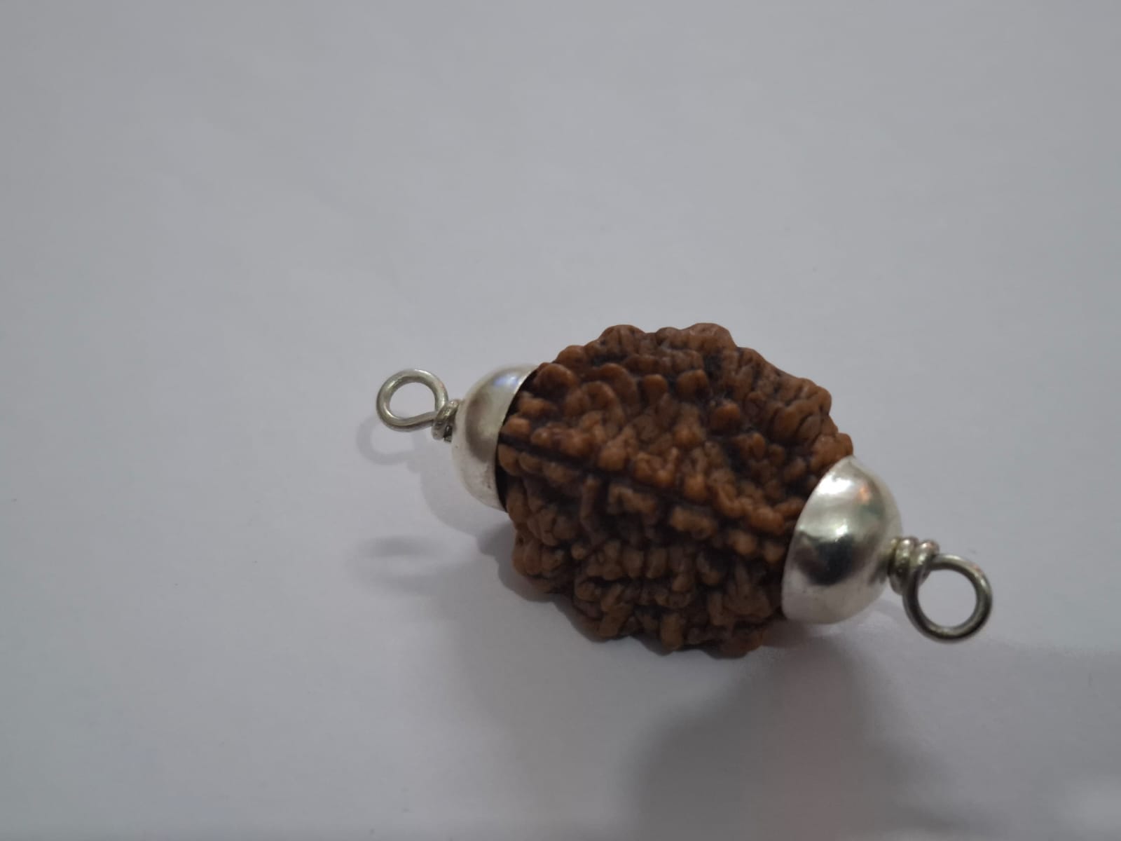 Do Mukhi Ruraksha  with silver capping