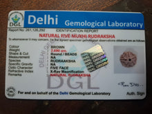 Five mukhi Rudraksha Certificate