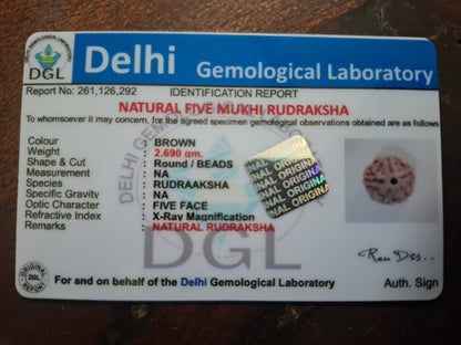 Five mukhi Rudraksha Certificate
