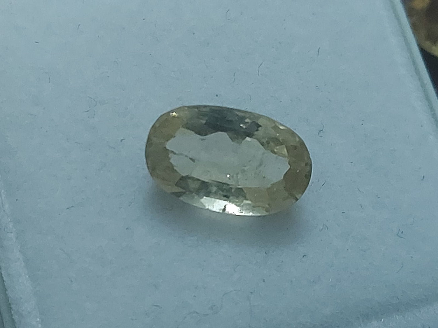 Gomutra Gomed |Yellow Hessonite | 9.25 ratti 