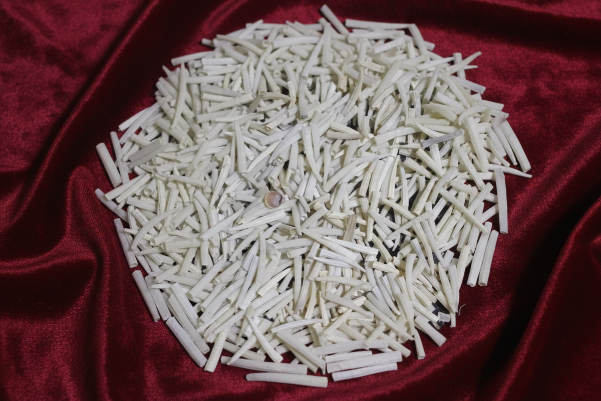 Mangal Kanta