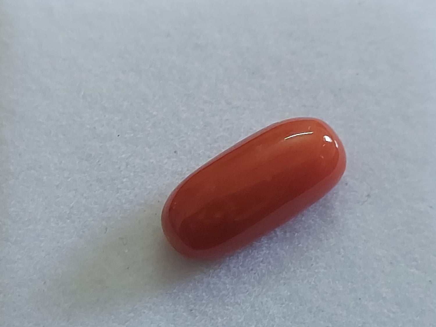 Red Coral Moonga stone Italian 12 ratti With Certificate