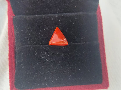 Red Coral | Moonga stone | Italian | Triangle | 5.25 ratti 