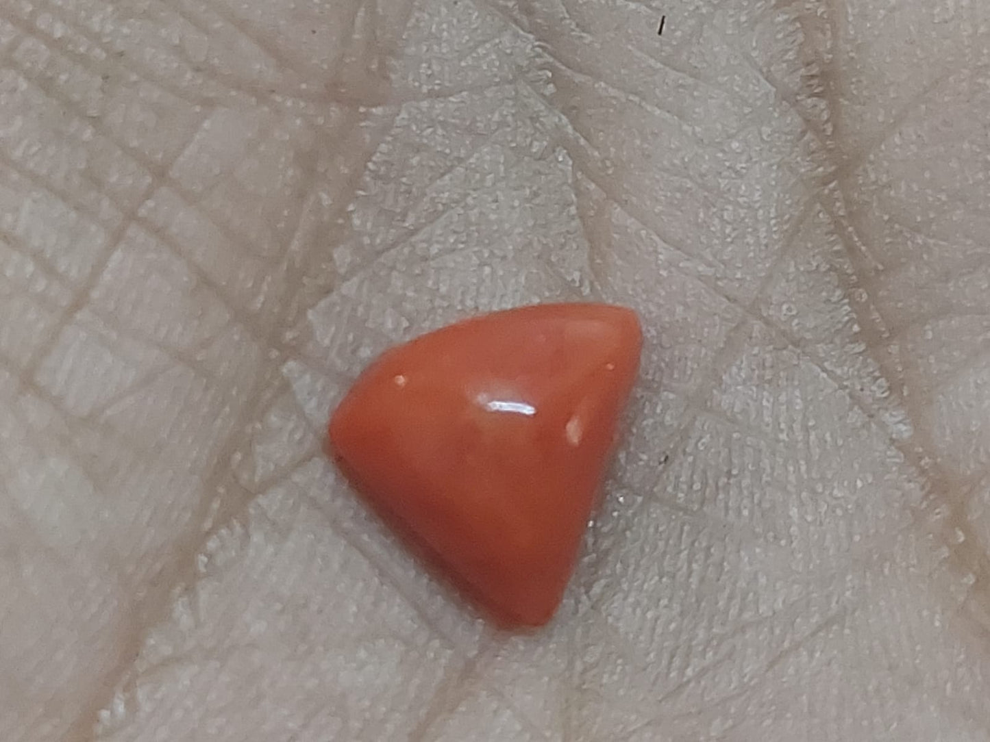 Red Coral | Moonga stone | Italian | Triangle | 7.25 ratti 