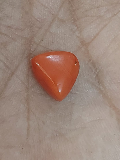 Red Coral | Moonga stone | Italian | Triangle | 8.25 ratti