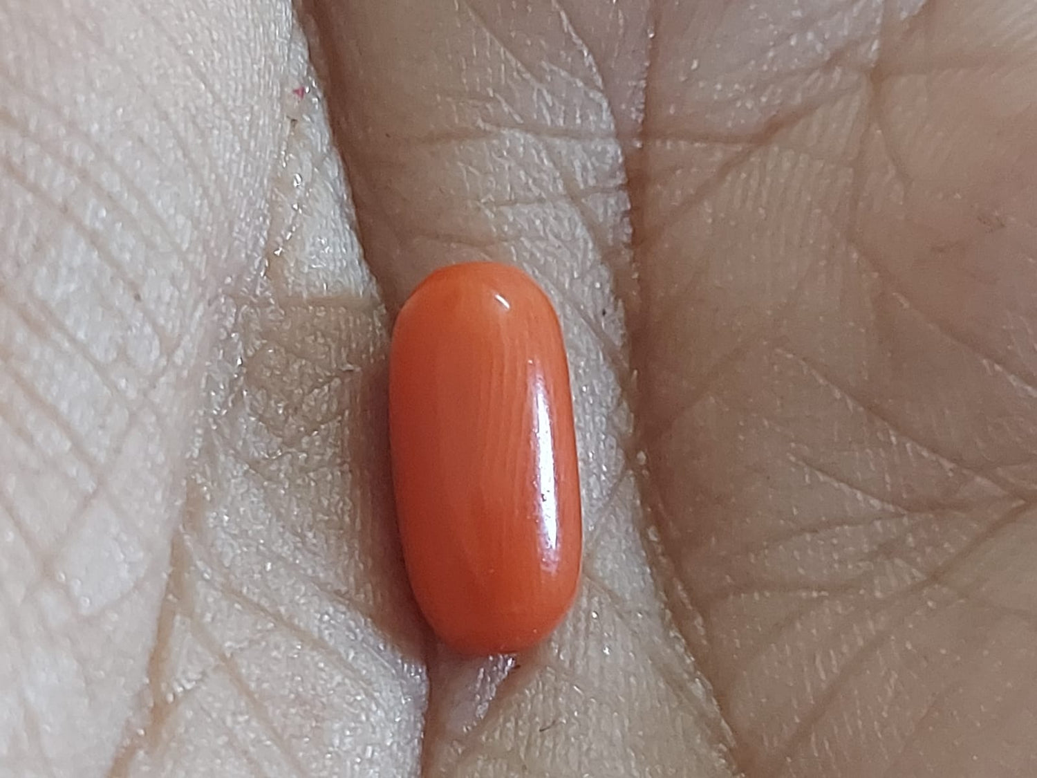 Bamboo Coral Red Coral Gemstone Meaning Bamboo Coral Pink Coral